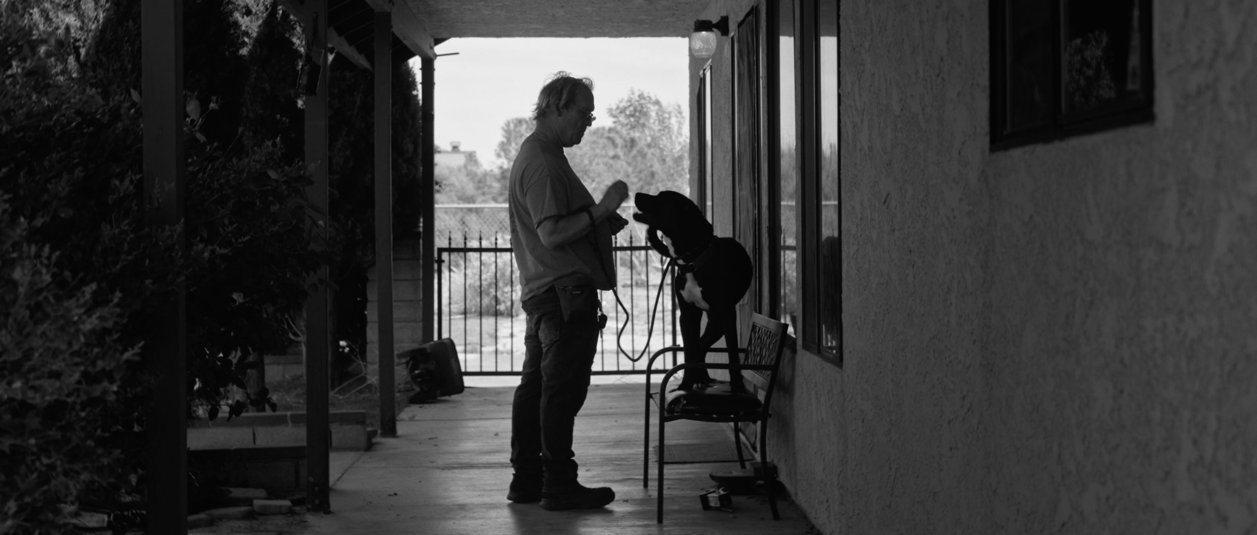 Woody training a dog
